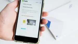 Squarespace to Shopify Migration Checklist: Protect Your SEO and Revenue Like a Seasoned Operator - ecommerce growth image